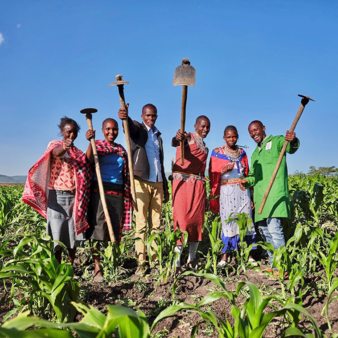 WithMyOwn2Hands's tweet photo. #DidYouKnow regenerative agriculture can boost yields by up to 60% in areas impacted by climate change? 🌱 It’s about resilience, dignity, and empowering communities to thrive. Take action today at https://t.co/quyZtpMhkz (Link in bio) #FoodSecurity https://t.co/jlzELkitqJ
