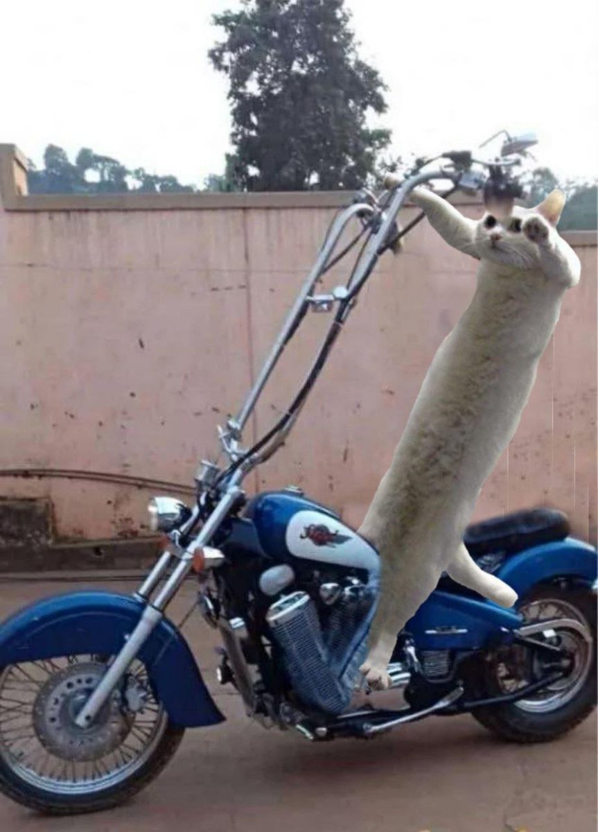 LongCat CTO tweet media