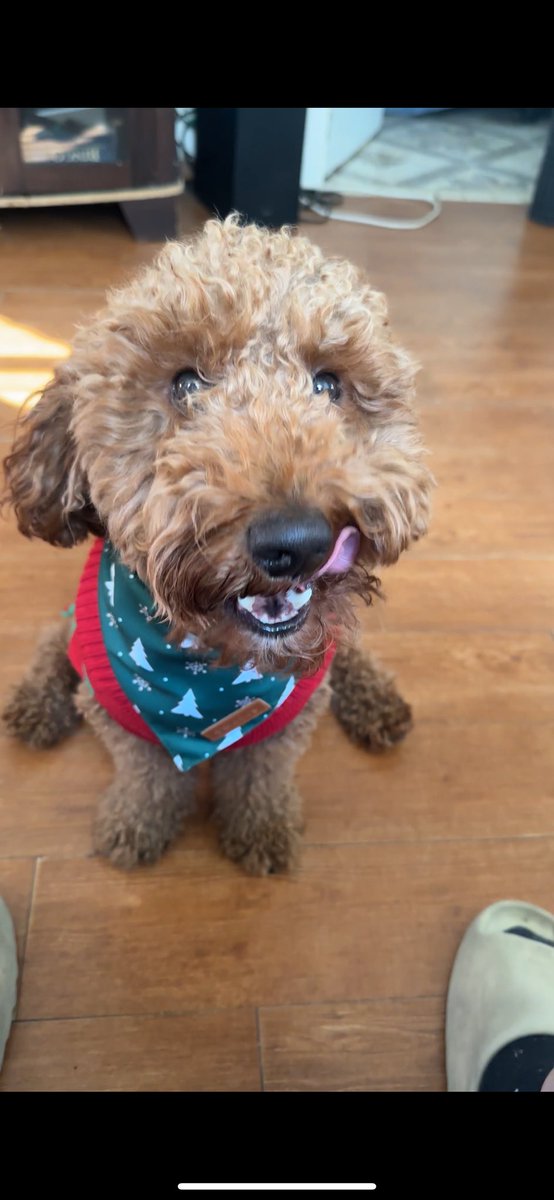 Fractured tweet media