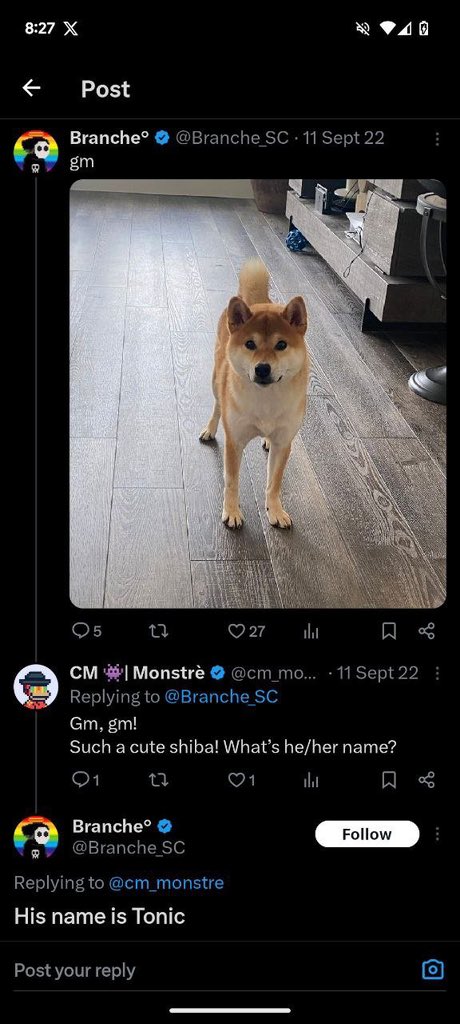 Shibaxx1's tweet photo. @ralphscall $TONIC is going to fly

Without $TONIC there literally wouldn’t be a $BONK 

🧠🧠🧠 https://t.co/E0jTAkqXGF