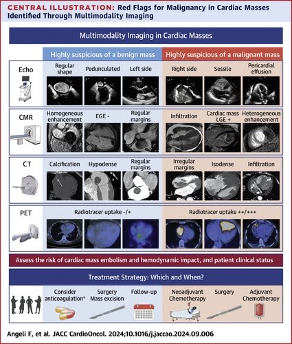 Edgardo Alania (@ed_alania) on Twitter photo 🔴 Multimodality Imaging in the Diagnostic Work-Up of Patients With Cardiac Masses: State-of-the-Art Review <a href="/JACCJournals/">JACC Journals</a> #CardioEd #Cardiology #CardioOnc #FOAMed #ENARM 🔴 Multimodality Imaging in the Diagnostic Work-Up of Patients With Cardiac Masses: State-of-the-Art Review <a href="/JACCJournals/">JACC Journals</a> #CardioEd #Cardiology #CardioOnc #FOAMed #ENARM