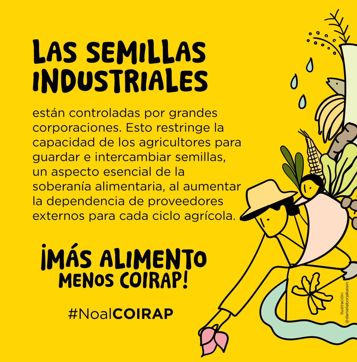 redsemillasorg's tweet photo. 🌾 Semillas tradicionales = soberanía alimentaria. El #COIRAP favorece semillas certificadas y transnacionales, ignorando el conocimiento campesino. #NoalCOIRAP 
@zolandapluasec @emzambrano76   @dallyanapass @anaraffo1 @Ceci_Baltazar @JCCamchoDavila @HernanZapataR @natalymorillos https://t.co/Z5wzxJ3nU8