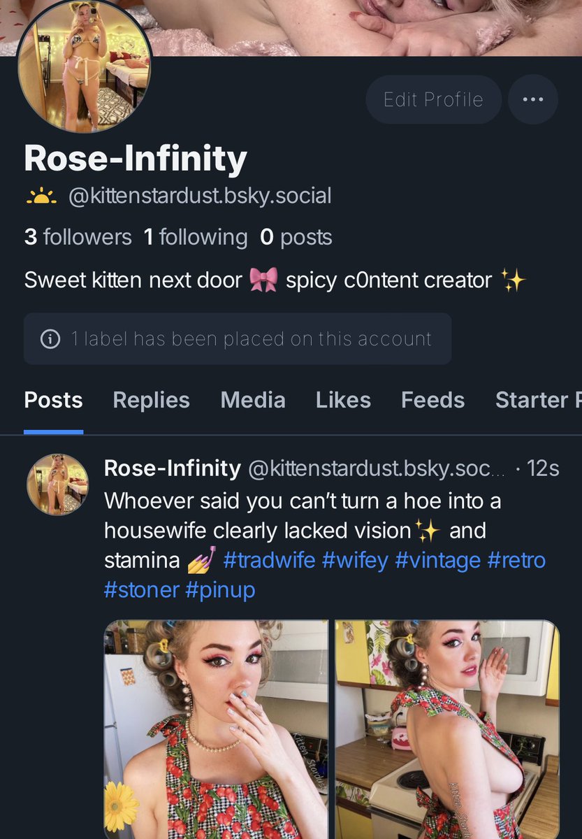 Kitten Stardust tweet media