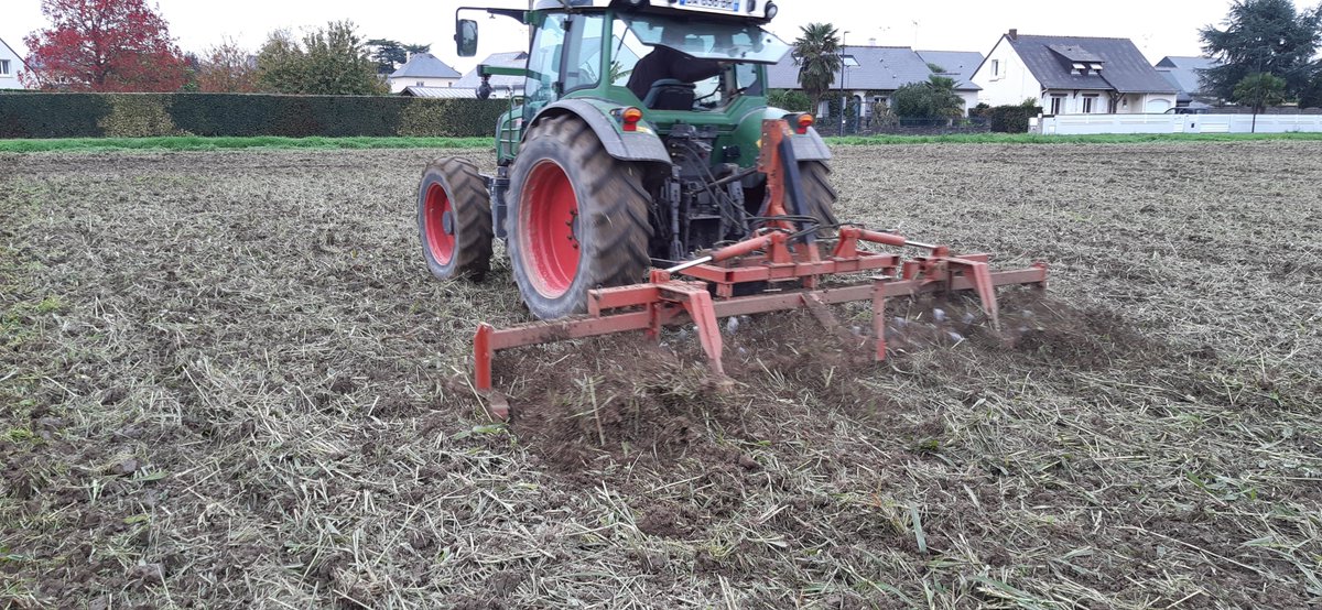 DzL49's tweet image. Levée de l'orge derrière un couvert de sorgho. Plutôt satisfait du résultat 🙂#agriculture #bio #ABC