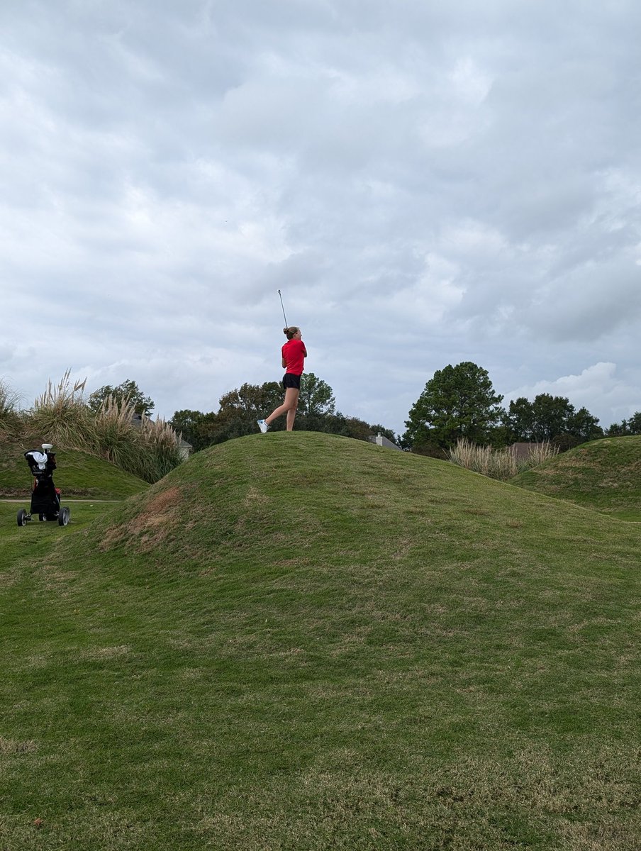 Katy Golf tweet media