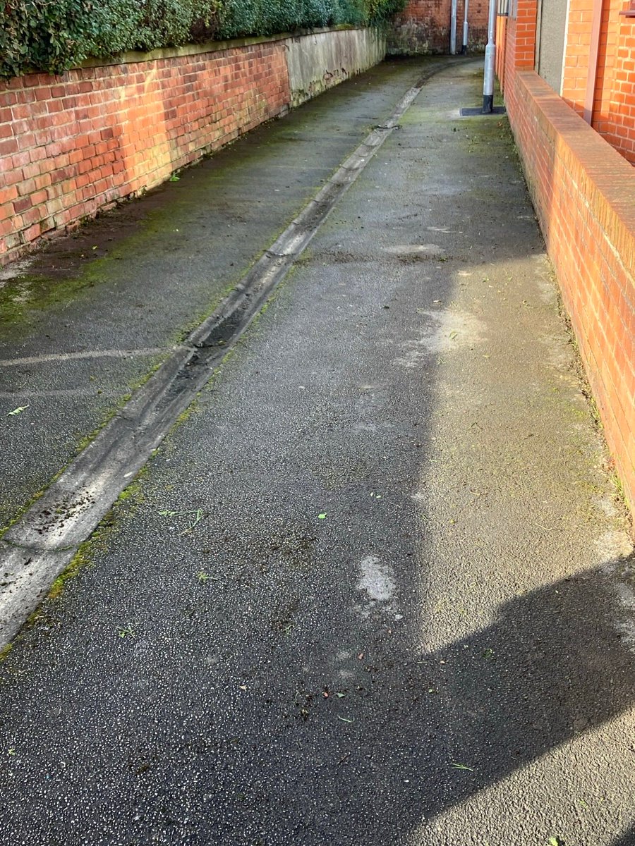 MolyneuxLabour tweet media