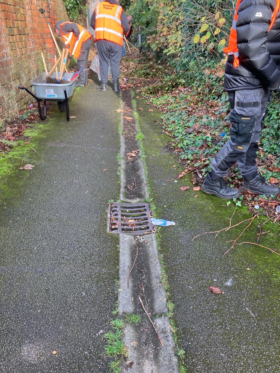 MolyneuxLabour tweet media