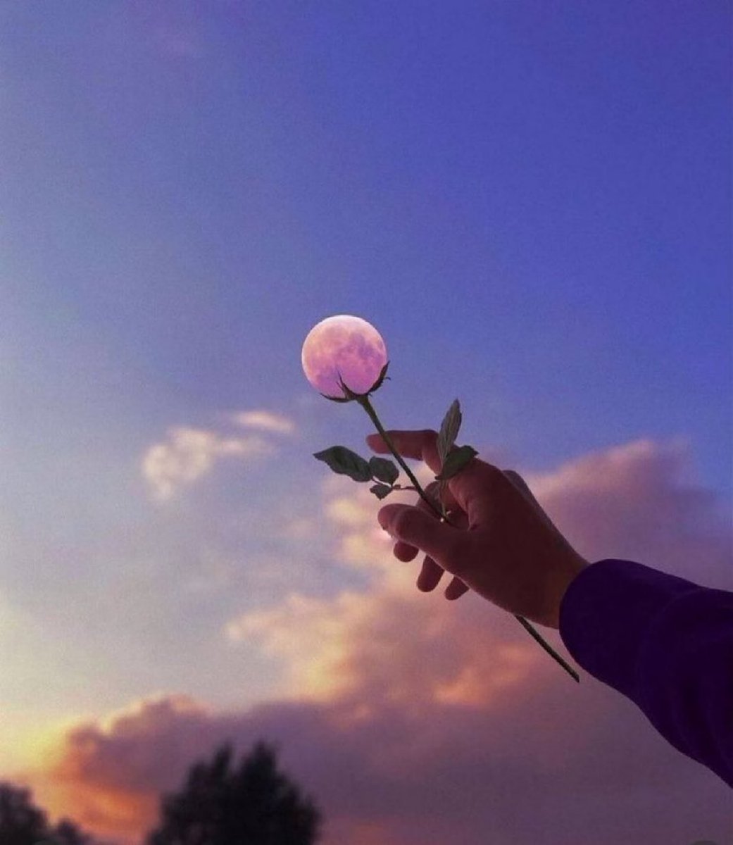 MOON LOVER tweet media