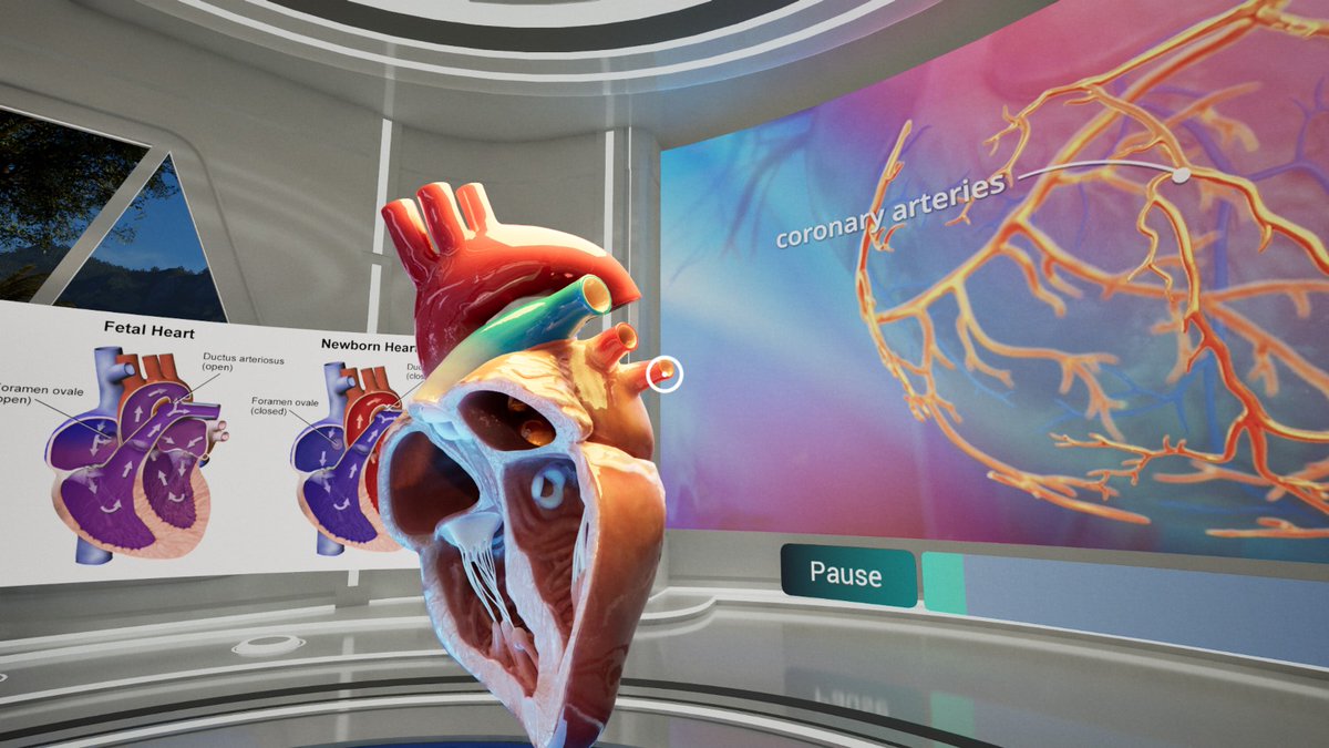 AimedisGlobal's tweet photo. Anatomy, physiology and pathology in the metaverse ! The next level of DeSci and medical education.

#aimedis #aimx #metaverse #ai @cz_binance @binance @Meta @AethirCloud @nvidia https://t.co/6nZCBYzUDR