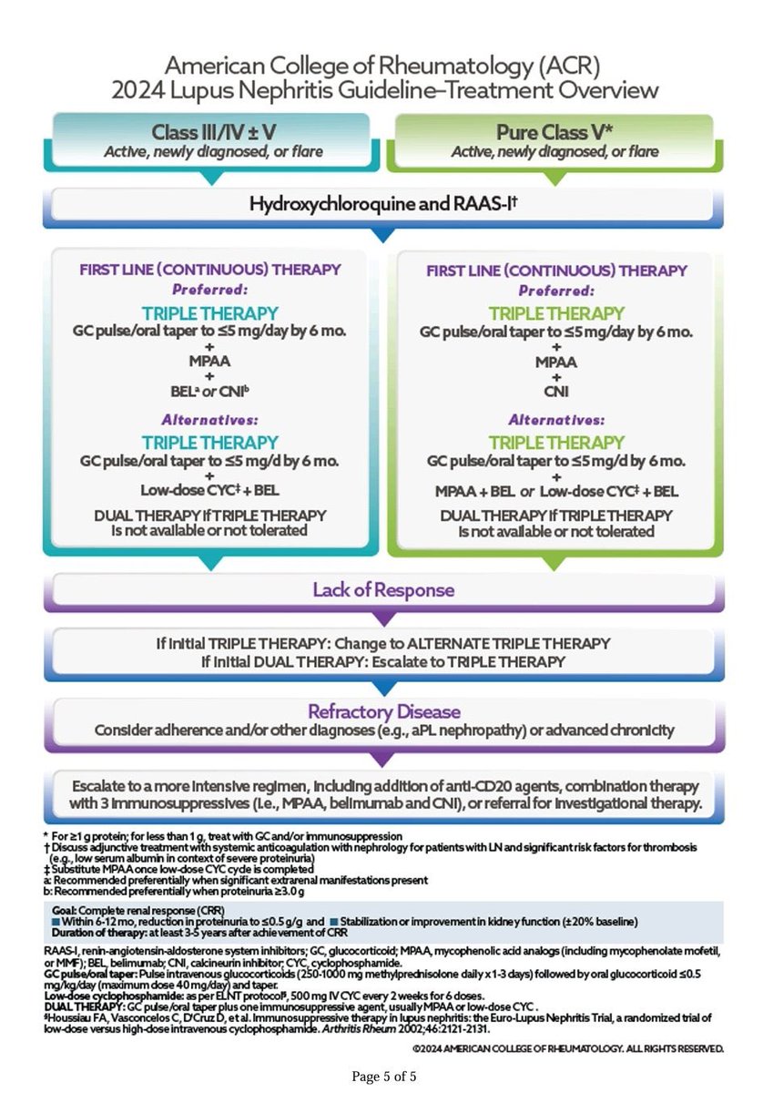 #SLE #Lupus Nepthritis #ACR24 #Rheumatology #MedTwitter
