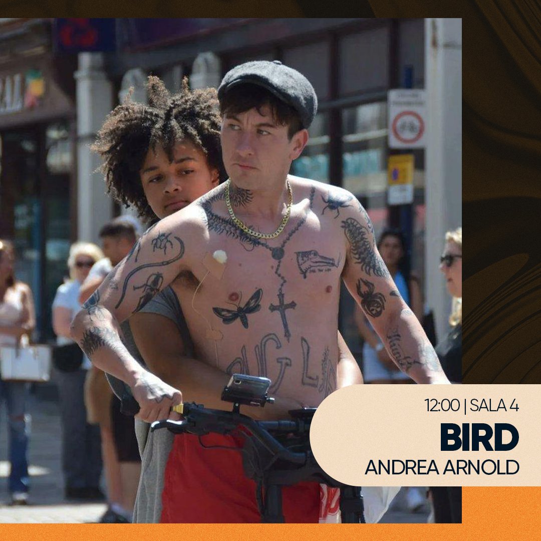 EFC - European Film Challenge ✨🎞️ tweet media