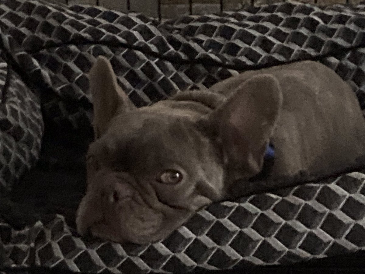 The newest addition to the family