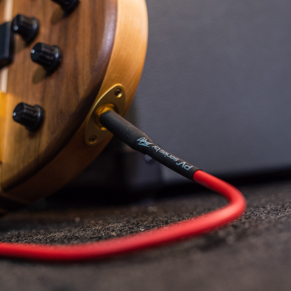 Peavey's tweet photo. 🧡 ❤️ 💛 That time of year when the guitar cables start changing colors! 🍂

Shop instrument cables: https://t.co/K3jo1qliv0 https://t.co/xzfg7OJiVC