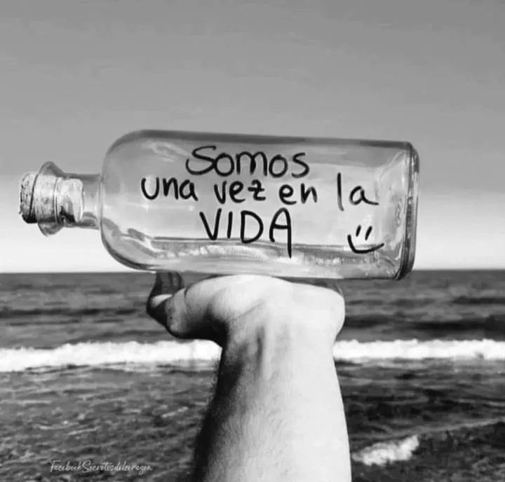 silfa8's tweet image. ✨