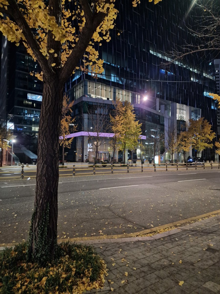 Haroun 🐒 tweet media