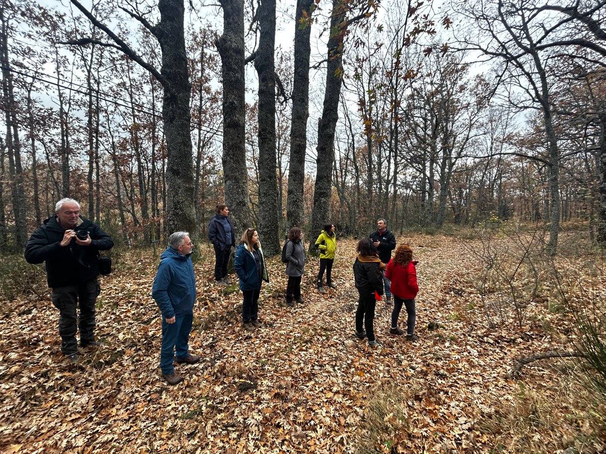 ctforestal's tweet photo. 🌱Expertos en #RestauraciónForestal se reunieron en #ICIFOR @INIA_es en el segundo taller presencial del proyecto #REFORADAPT de @FBiodiversidad #ProyectosFB para abordar los retos clave y soluciones innovadoras de adaptación al cambio climático en la restauración de bosques💡 https://t.co/zseReshgyK