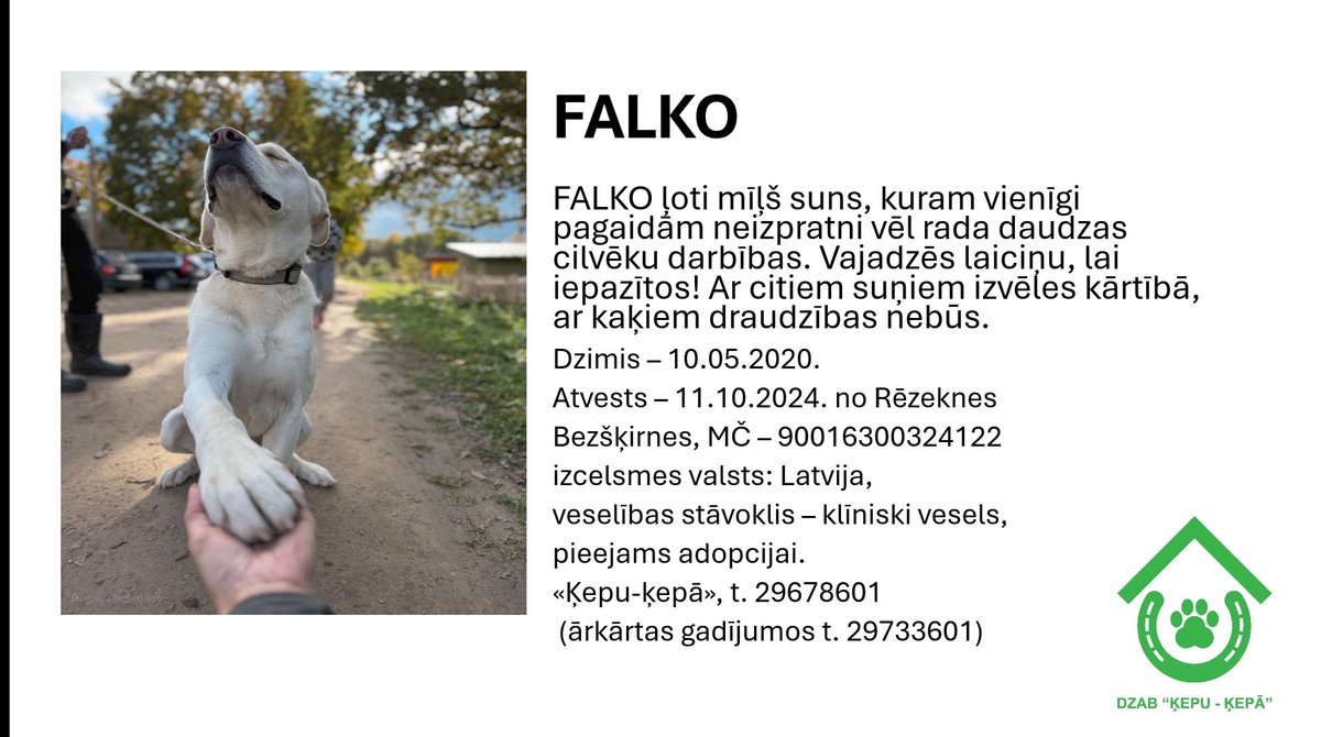 DzabKepa's tweet photo. FALKO meklē mājas 🐶💜🇱🇻
📞 29678601 🐾🥰
#Falko #suns #dog #nepērcadoptē #ķepuķepā #Ķepas #Kepa #animalshelter #rescue #saveanimals #animals #patversme #dzīvniekupatversme #LATVIJA #meklēmājas https://t.co/gNuxvKBzX0