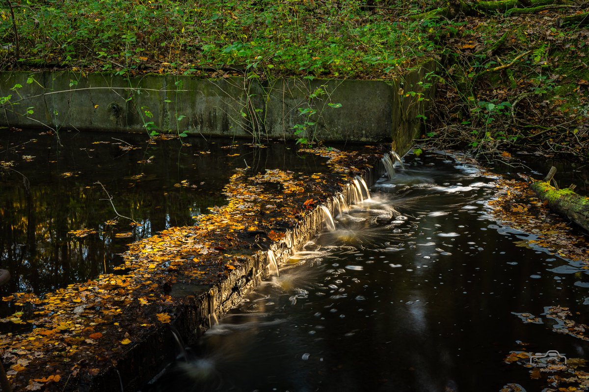 HMHoogebeen's tweet photo. Mooie stroompjes in het #Waterloopbos #Noordoostpolder https://t.co/6kywOP9Pum