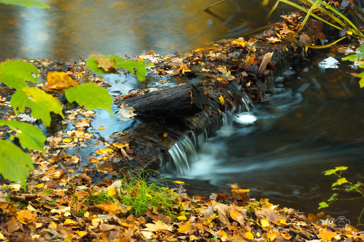 HMHoogebeen's tweet photo. Mooie stroompjes in het #Waterloopbos #Noordoostpolder https://t.co/6kywOP9Pum