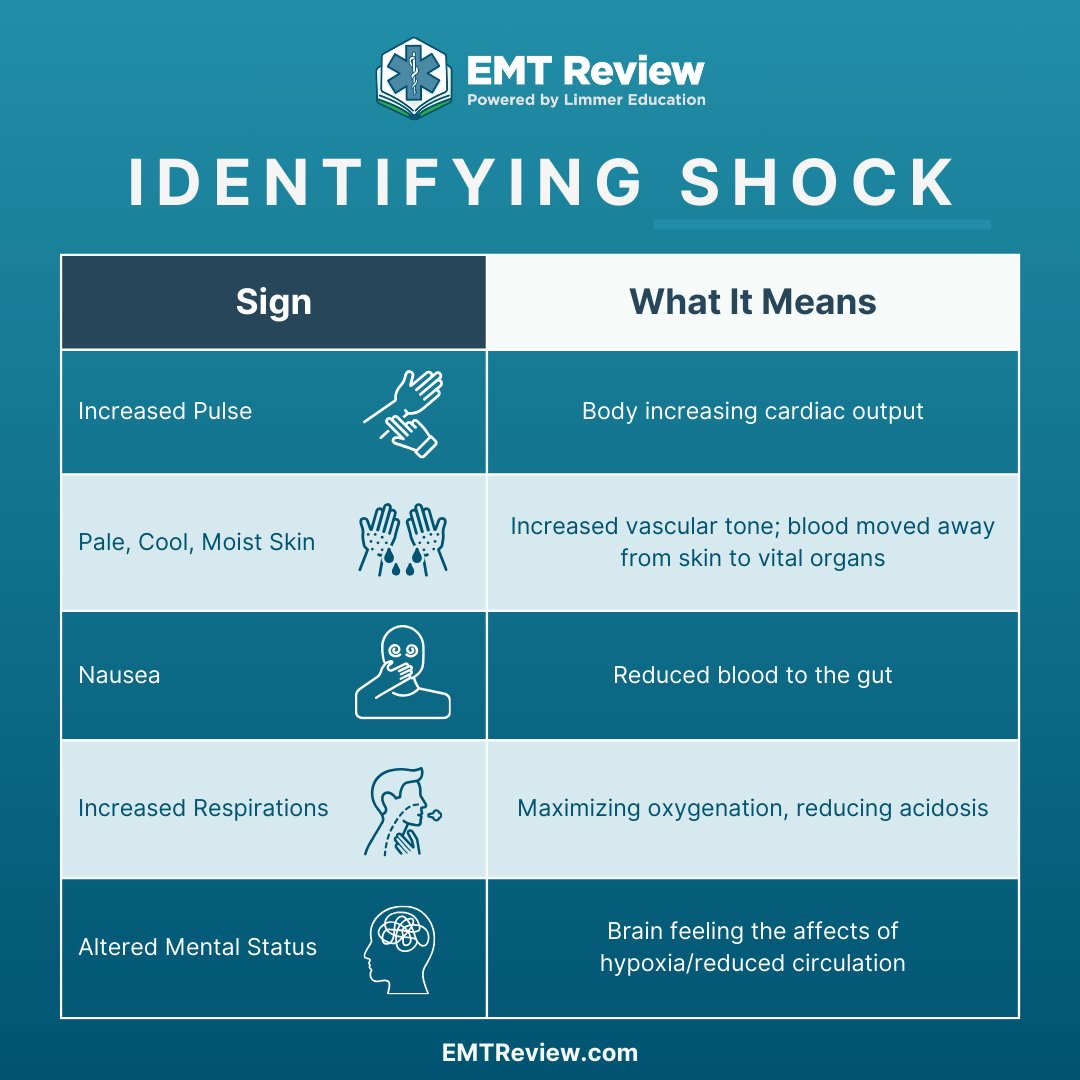 EMT Review tweet media