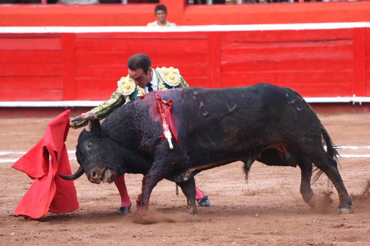 BigJuanF's tweet photo. Que alegría ver que https://t.co/aVhkkIM7NI haya publicado 50 fotos en una fotogalería de la coirrida de Enrique Ponce, es para mi mucho mas que un día festivo. Aqui comparto algo de dicha fotogalería y si Facebook me censura también la comparto en X https://t.co/76ZPh6AEBV