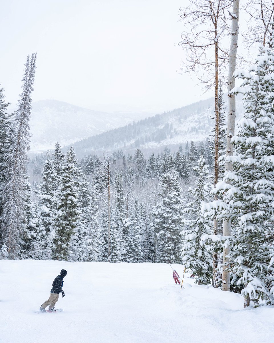 Park City Mountain tweet media