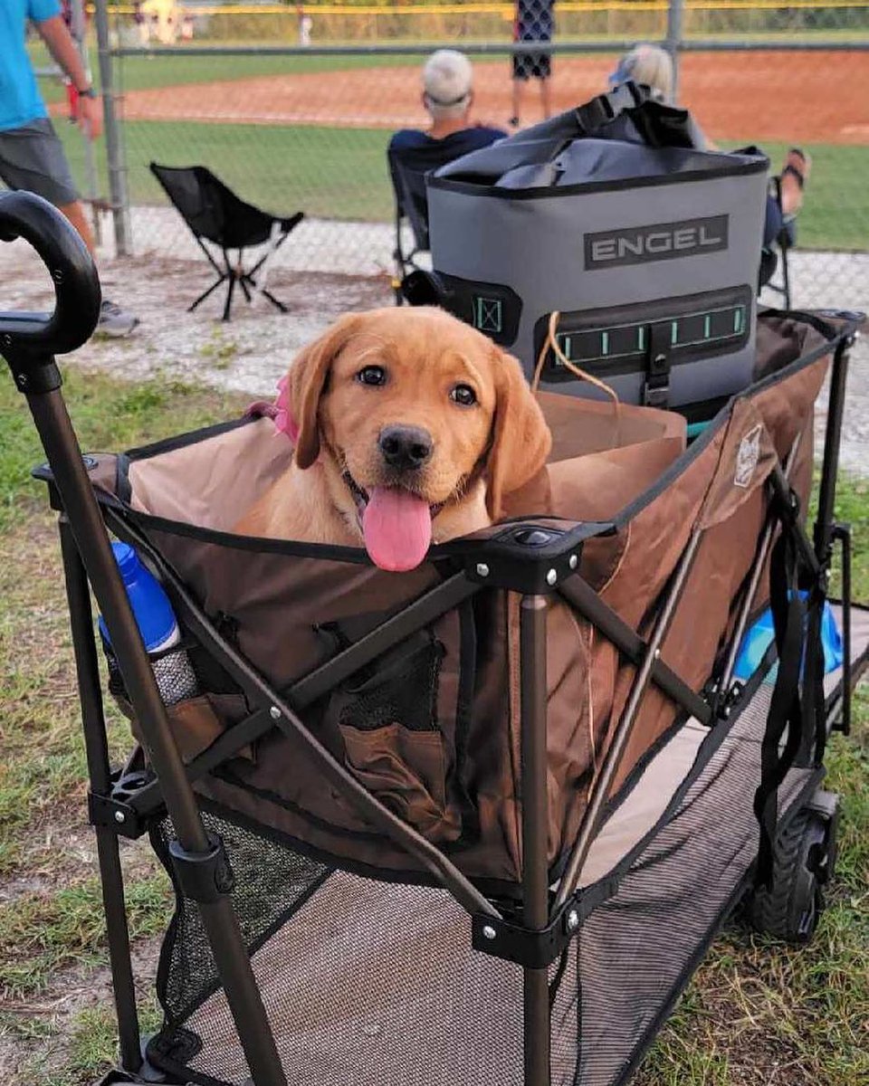 Engel Coolers tweet media