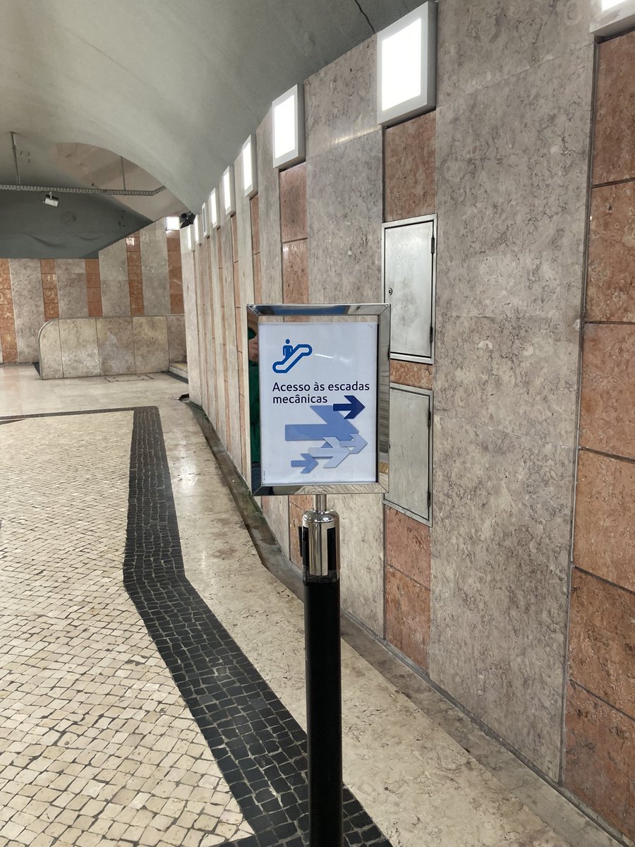 Rita Saraiva 🔸 ritasaraiva.bsky.social tweet media