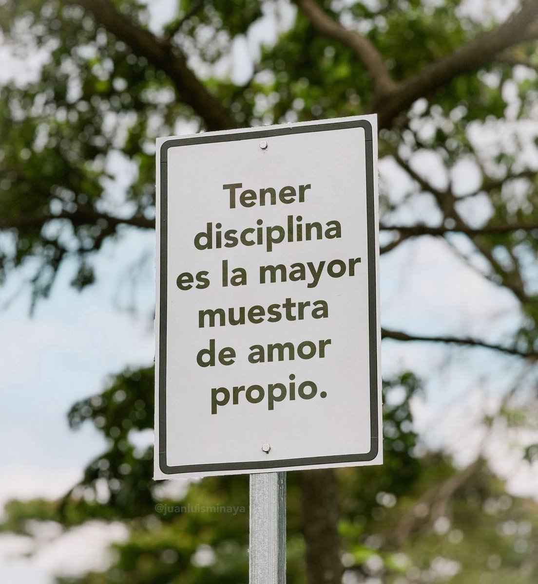 Pensamientos (@frasesimple) on Twitter photo 
