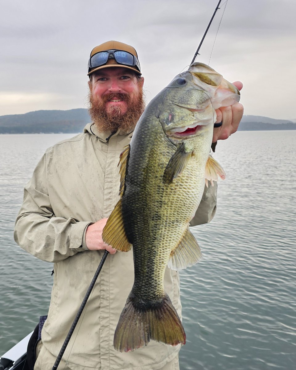 TackleWarehouse's tweet photo. Recently TW Staffer Brian got to hang out with Matt Allen & Tim Little from #TacticalBassin on Lake Guntersville! Who do you think pulled the biggest that day? Let us know in the comments!
📍Lake Guntersville
#TackleWarehouse #BassFishing #TactialBassin #LakeGuntersville https://t.co/A75bCOxQUm