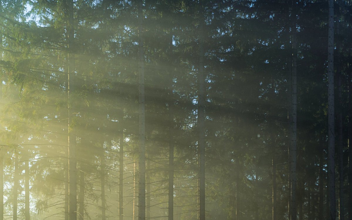 Raději se teď potloukám v Beskydech, než v Ostravě. Tohle je z Bahence nad Jablunkovem.
#Beskydy