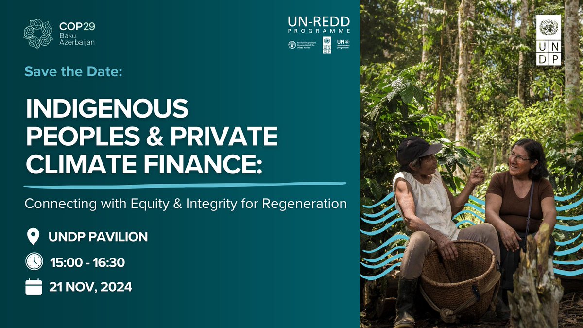 UNDPplanet's tweet photo. 📢 Join @UNDP &amp; @UNREDD at #COP29 on Nov 21 for a roundtable on building equitable finance models that support Indigenous-led conservation &amp; sustainable land management.

🔗 Register here: https://t.co/uB6f2VFA7w https://t.co/xQgOkYsPl6