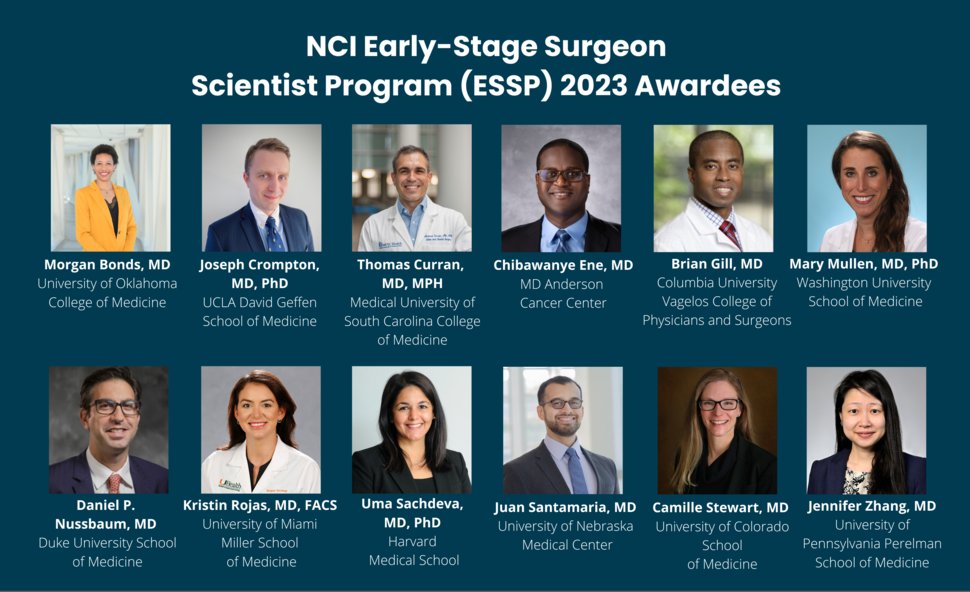 Dr. Anthony Letai tweet media