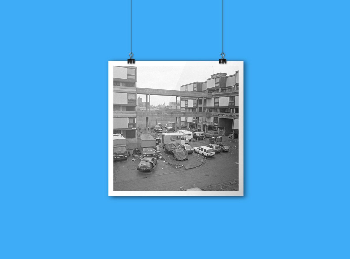 Martin Dust Photography tweet media