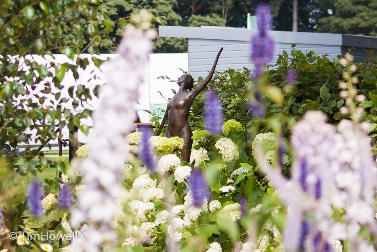 Tim Howell tweet media