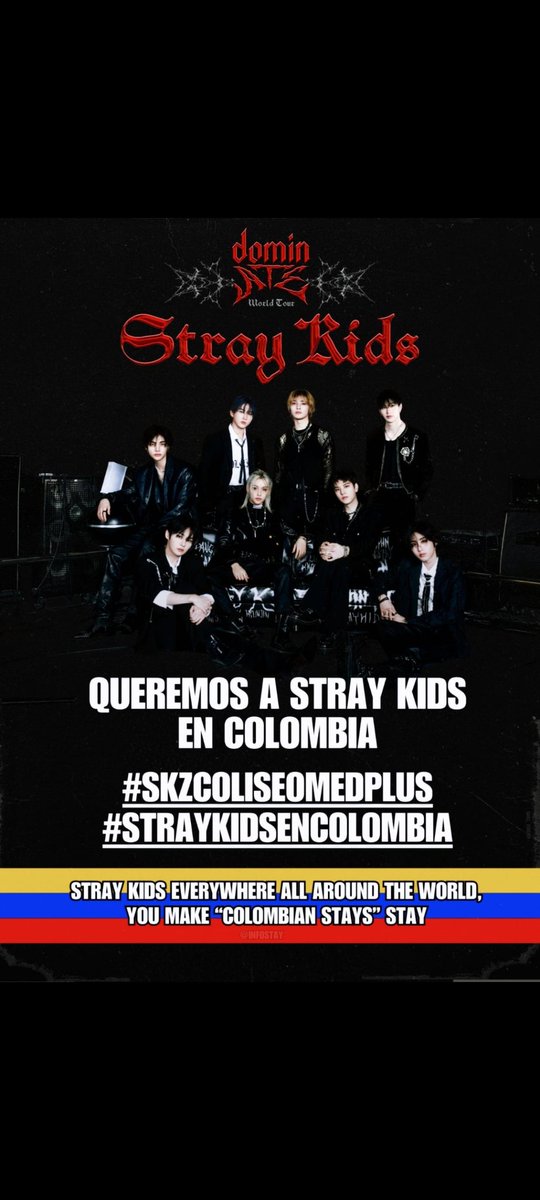 Karin__Design's tweet photo. @OcesaColombia @paramo_presenta @LiveNation @jypnation      #StrayKidsEnColombia #SKZColiseoMedplus https://t.co/4MCaF7Z5ps