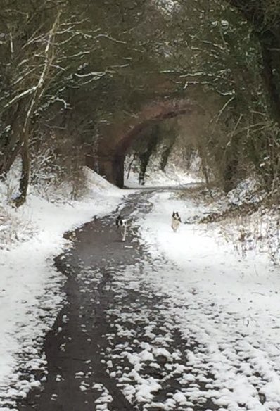 As snow moves in: Vintage picture of the Rolleston-Southwell-Mansfield line at Kirklington, Notts.