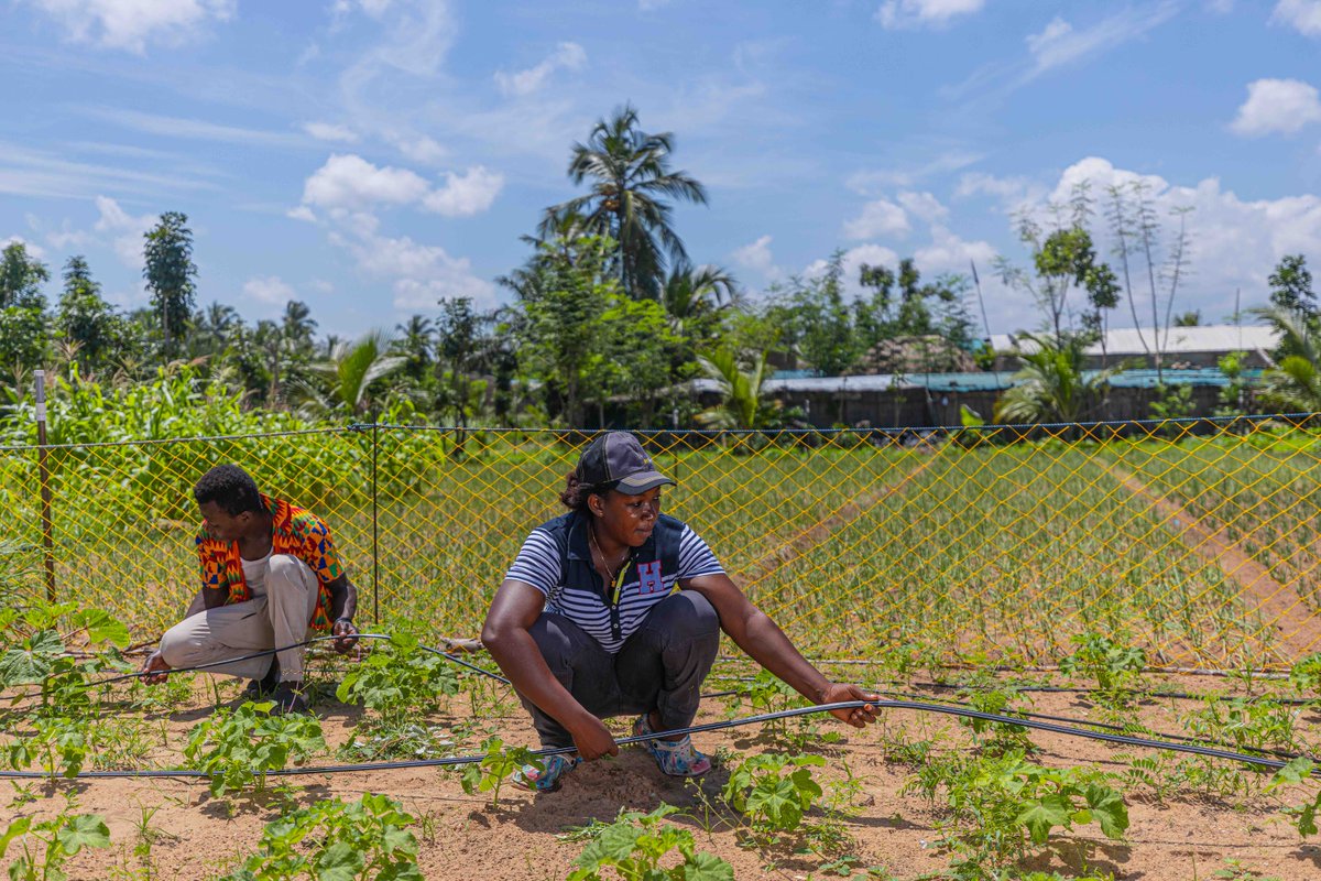 What a response to our recent Request for Applications! We received over 200 applications, showcasing the incredible potential for irrigation &amp; mechanization to improve livelihoods in Feed the Future countries. We're grateful for the dedication and innovation of all applicants.