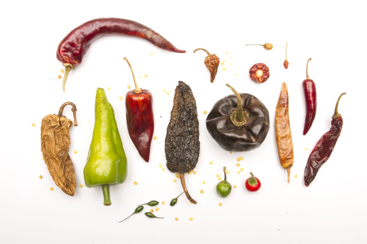 The domestication of the chili pepper likely took place in lowland regions of Mexico—specifically the Yucatán Peninsula and southern coastal Guerrero—according to an archeological and ecological study of ancient chili pepper seeds. In PNAS: ow.ly/Ie7A50U7Zei