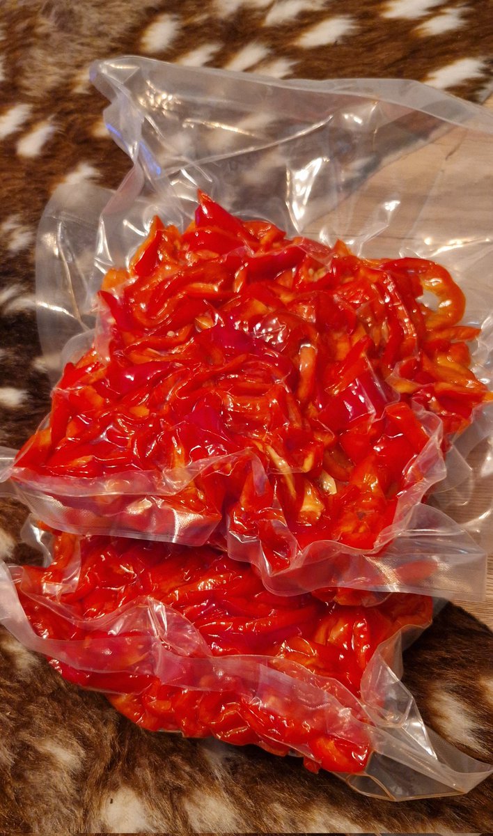 DimitriVistick's tweet photo. Mise-en-place is je beste vriend😎
Gesneden paprika voor de gemengde groenten ✅️ Groenten voor het kerstdiner zijn klaar en liggen vacuüm in de vriezer. Morgen de roquefort boter maken, inrollen en ook de vriezer in tyfen. Klaar=klaar https://t.co/9neXwAgrVy