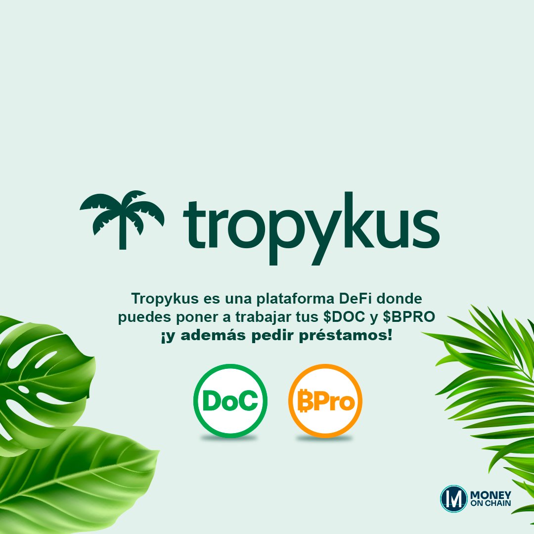 MoneyOnChain.com🔥🦡 tweet media