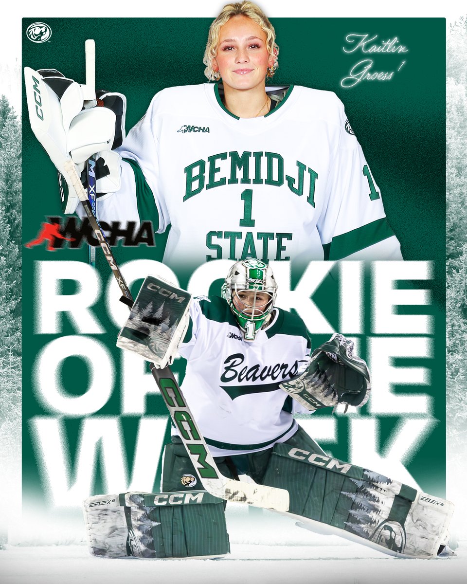 Bemidji State Women’s Hockey tweet media