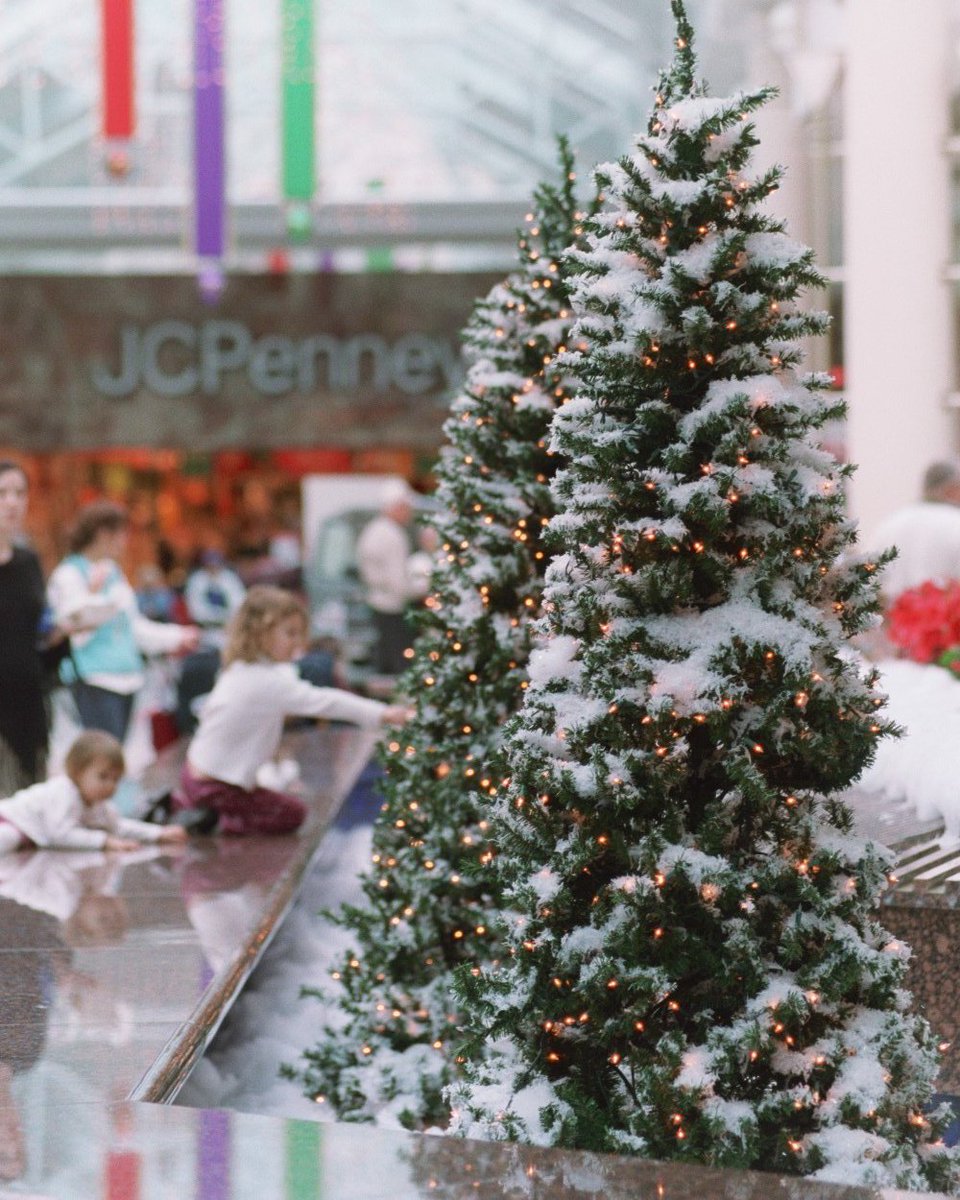 Sparkling trees, excited kiddos, and a festive buzz in the air—Black Friday at <a href="/EastviewMall/">Eastview Mall</a> is just around the corner! 🛍️🎄 

Who's ready to shop ‘til they drop? 

visitfingerlakes.com/things-to-do/s…