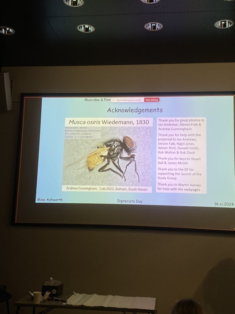 Madeleine Price (@madsprixe) on Twitter photo Over the moon to have been in a room with lots of other fly nerds and Diptera celebs. Thank you <a href="/DipteristsForum/">Dipterists Forum</a> !!! 🪰🪰🪰 Over the moon to have been in a room with lots of other fly nerds and Diptera celebs. Thank you <a href="/DipteristsForum/">Dipterists Forum</a> !!! 🪰🪰🪰