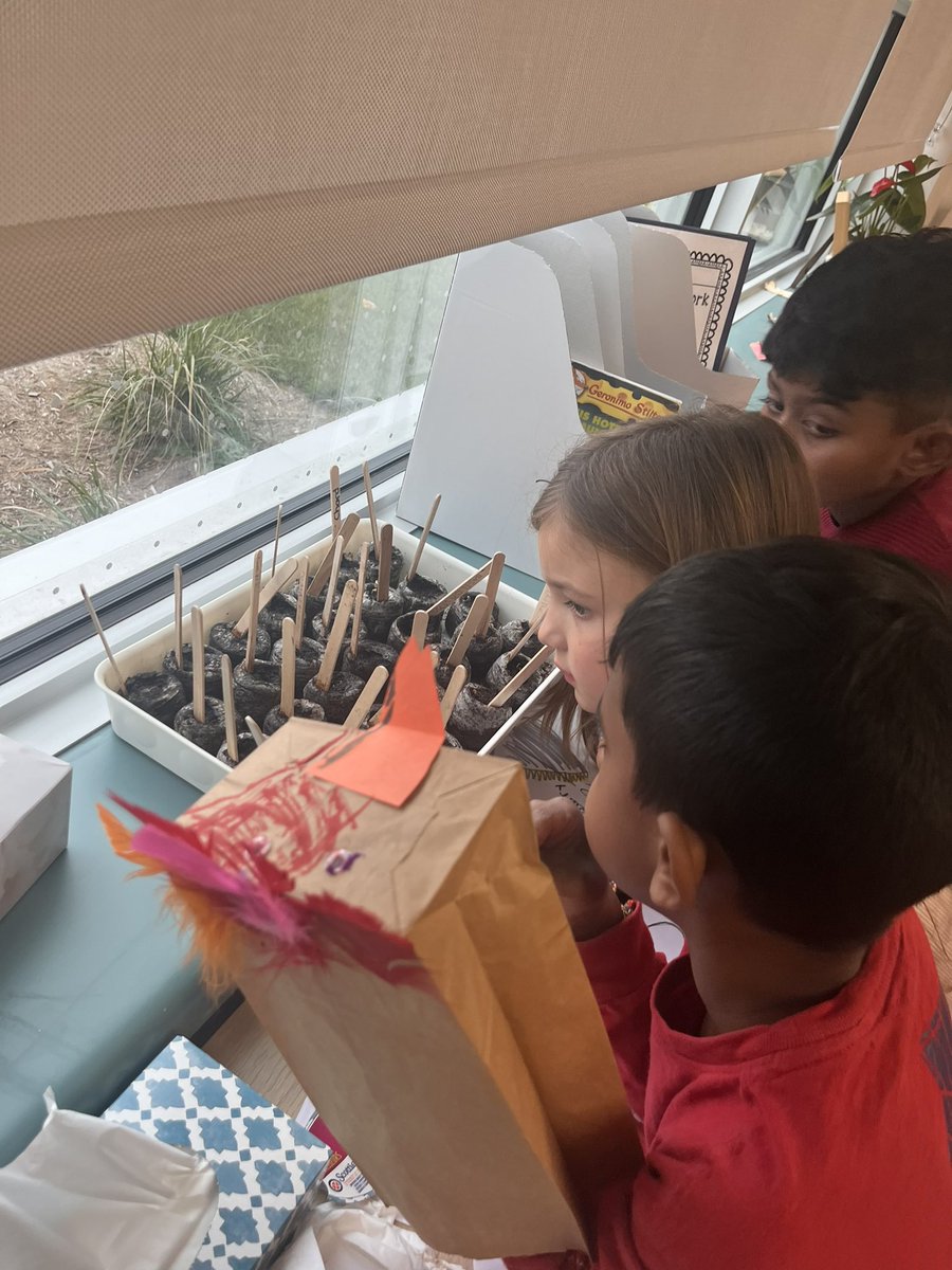 Grade2Garden's tweet image. The first of our #classroomgardens seeds are sprouting which caused a great amount of excitement in our classroom! @ONFE_ROPE @StGiannaOCSB #ocsbDeepLearning #ocsb