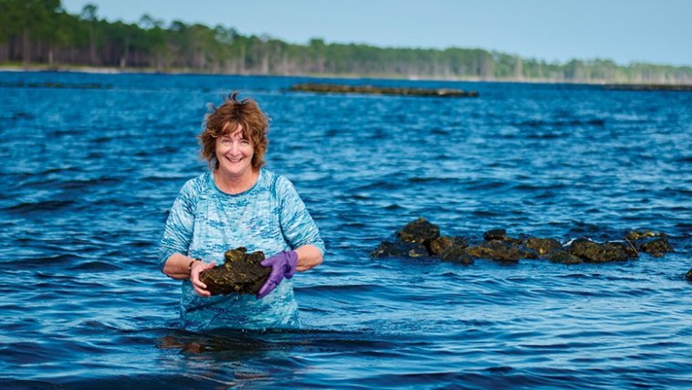 Reef restoration efforts are about more than just increasing oyster populations. “It’s restoring fisheries, a culture and an economy that was once there,” said ocean and coasts strategy director Anne Birch. Photo  by Dave Barfield <a href="/EmeraldCoastMag/">Emerald Coast Mag</a> 
emeraldcoastmagazine.com/restoring-oyst…