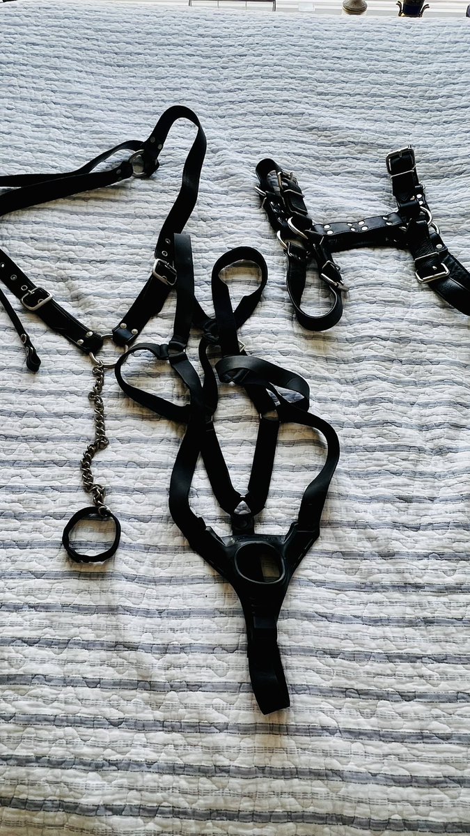 Who wants to play?