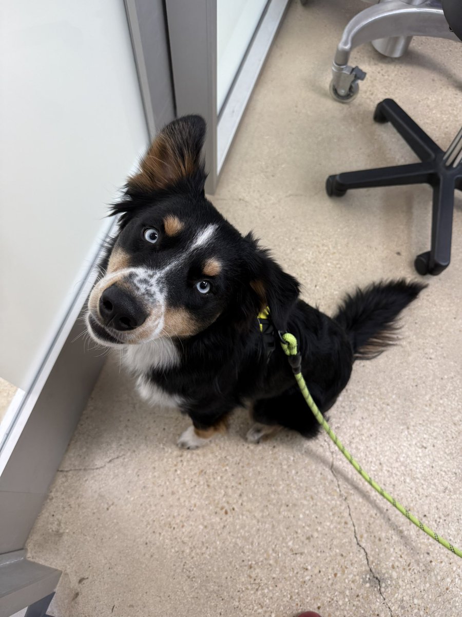 Bro has no idea he’s losing his nuts next week 😭