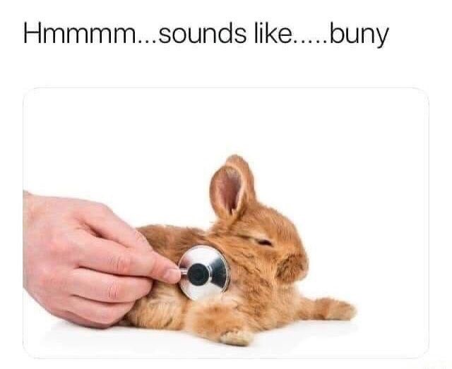 Bunnies's tweet photo. https://t.co/VAOafCS1yU
