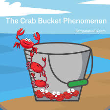 Women- help each other… don’t be this!